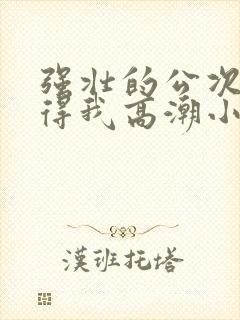 强壮的公次次弄得我高潮小说封面