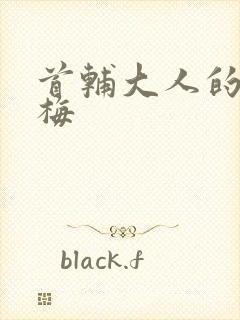 首辅大人的小青梅