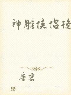 神雕侠侣后传封面