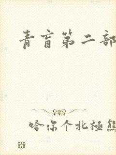 青盲第二部封面