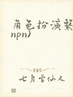 角色扮演系统(npn)