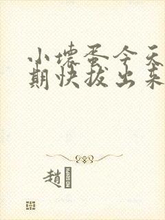 小坏蛋今天危险期快拔出来