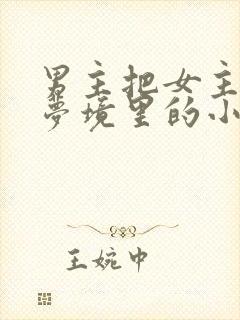 男主把女主拖进梦境里的小说