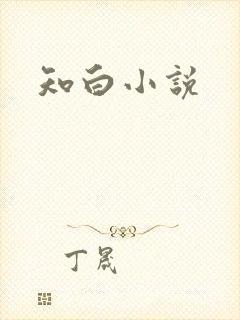 知白小说封面