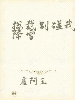 总裁别碰我 韩降雪