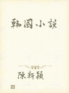 韩国小说封面