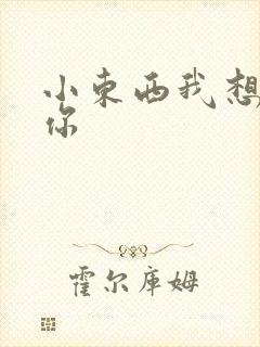 小东西我想弄坏你封面