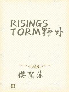 RISINGSTORM野外封面