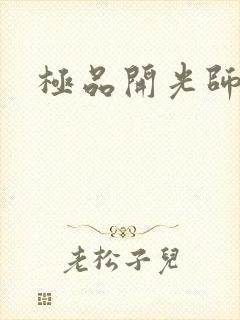 极品开光师