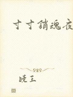 寸寸销魂夜春光