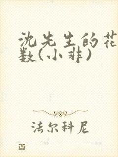 沈先生的花式调数(小非)