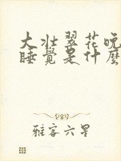 大壮翠花晚上不睡觉是什么电视剧