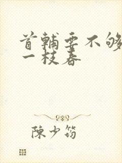 首辅要不够po一枝春封面