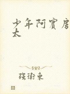 少年阿宾房东太太