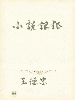 小说银狐