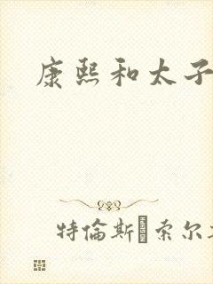 康熙和太子妃封面