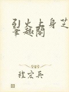 引火上身芝麻糖笔趣阁封面