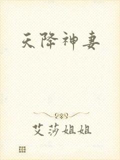天降神妻