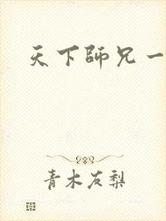 天下师兄一般黑
