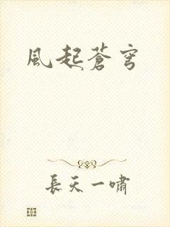 风起苍穹封面