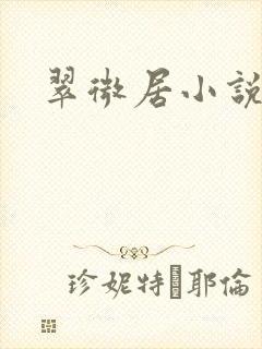 翠微居小说
