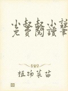 小叔叔小说全文免费阅读笔趣阁