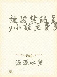 被囚禁的美人by小说免费阅读