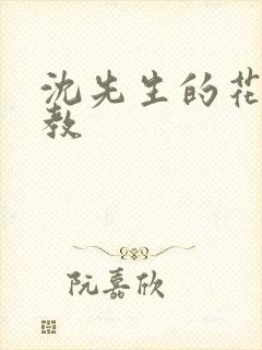 沈先生的花式管教封面