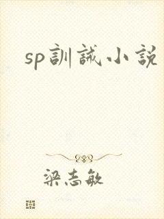 sp训诫小说