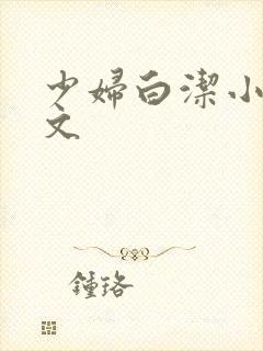 少妇白洁小说全文