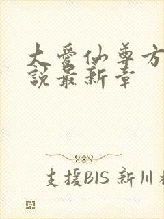 大爱仙尊方源小说最新章封面