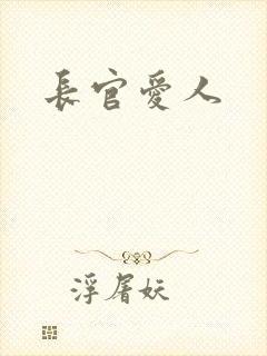 长官爱人