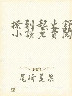 撩到起火舒漾的小说免费阅读全文封面