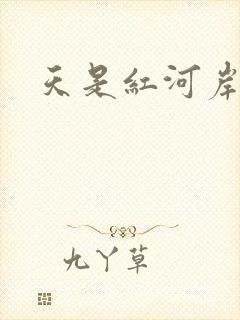 天是红河岸小说