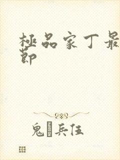 极品家丁最新章节