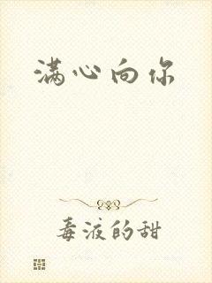 满心向你封面