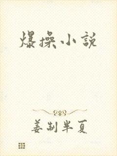 爆操小说