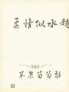 柔情似水赵雅儿封面