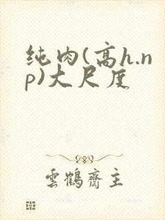 纯肉(高h.np)大尺度封面