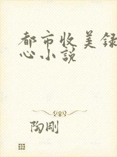 都市收美录宁素心小说