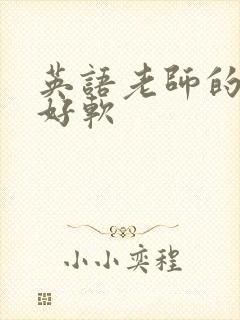 英语老师的兔子好软