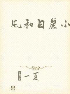风和日丽小说