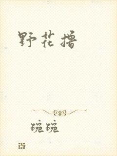 野花撸封面
