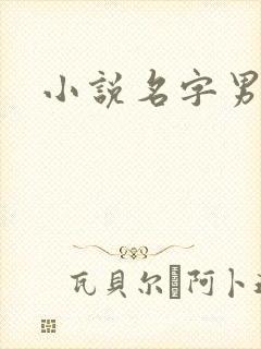 小说名字男生封面