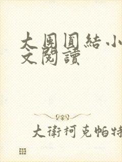 大团圆结小茹全文阅读