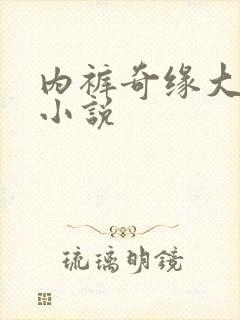 内裤奇缘大团结小说