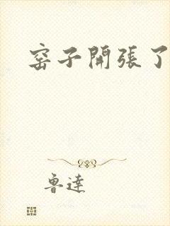 窑子开张了封面