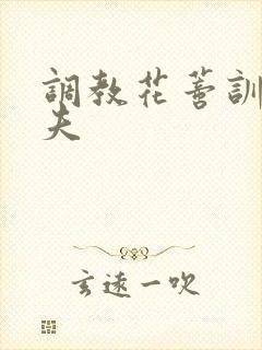 调教花蒂训诫从夫