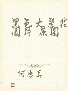 黑色大丽花真实图片 原图封面