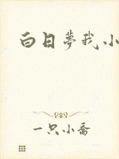 白日梦我小说